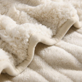 Aldrin Home Sherpa &amp; Fleece Reversible Heated Throw