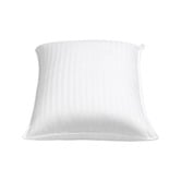 Aldrin Home Cotton Sateen Standard Pillows