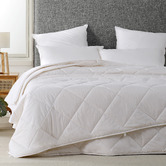 Dreamaker 2 Piece All Seasons Australian Wool Quilt Set