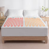 Aldrin Home Hanston Electric Blanket