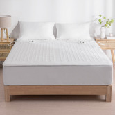 Aldrin Home Hanston Electric Blanket