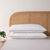 Aldrin Home Hotel Cotton &amp; Microfibre King Pillows