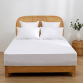 Aldrin Home Fully Encased Waterproof Mattress Protector