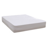 Aldrin Home Fully Encased Waterproof Mattress Protector