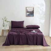 Aldrin Home Micro Flannel Knitted Velvet Sheet Set