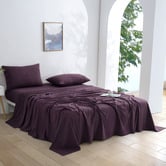 Aldrin Home Micro Flannel Knitted Velvet Sheet Set