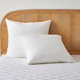 Aldrin Home Japara Cotton European Pillows