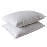 Aldrin Home Duck Feather Standard Pillows