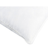 Aldrin Home Duck Feather Standard Pillows