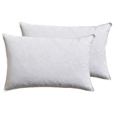 Aldrin Home Duck Feather Standard Pillows