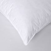 Aldrin Home Goose Feather &amp; Down European Pillows
