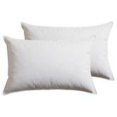 Aldrin Home Goose Feather &amp; Down Pillows