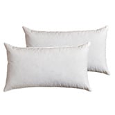 Aldrin Home Goose Feather &amp; Down Pillows