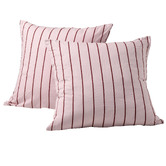 Aldrin Home Striped Lili Microfibre European Pillowcases