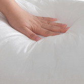 Aldrin Home Anna Square Cushion Inserts