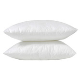 Aldrin Home Anna Square Cushion Inserts