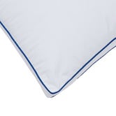 Aldrin Home Albert High Profile Soft Gusseted Standard Pillows