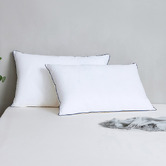 Aldrin Home Albert Low Profile Soft Standard Pillows