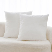 Aldrin Home Anna Square Cushion Inserts