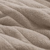Aldrin Home Coral Fleece Heated Throw