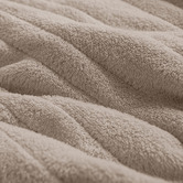 Aldrin Home Extra Large Coral Fleece Heated Throw