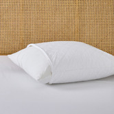 Aldrin Home Quilted Hayden Cotton European Pillow Protectors