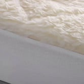 Aldrin Home Goose Feather &amp; Down Ultimate Bedding Set
