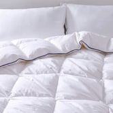 Aldrin Home Reloft 100% Goose Down Fibre Winter Quilt