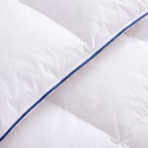 Aldrin Home Reloft 100% Goose Down Fibre All Seasons Quilt
