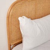 Aldrin Home Heston Down Alternative King Pillow with Pillow Protector