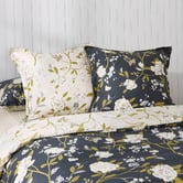 Aldrin Home Fontana Cotton Twill European Pillowcases