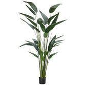 The Home Collective 213cm Potted Faux Sky Bird Plant