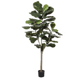 The Home Collective 182cm Potted Faux Fiddle Tree