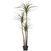 The Home Collective Potted Faux Dracaena Marginata Tree