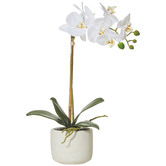 The Home Collective 45cm Faux Butterfly Orchid with Smooth Ceramic Pot