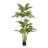 The Home Collective 180cm Potted Faux Cane Palm Plant