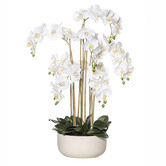 The Home Collective 90cm Potted Faux Butterfly Orchid Plant