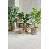 The Home Collective 180cm Potted Faux Cane Palm Plant
