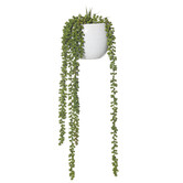 The Home Collective 66cm Potted Faux Hanging Pearls Plant