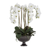 The Home Collective 70cm Potted Faux Phalaenopsis Plant