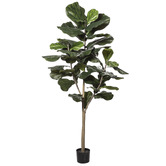 The Home Collective 182cm Potted Faux Fiddle Tree