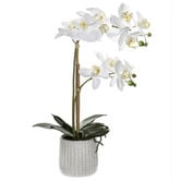 The Home Collective 48cm Potted Faux Butterfly Orchid Plant