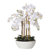 The Home Collective 83cm Potted Faux Butterfly Orchid Plant