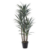 The Home Collective 152cm Potted Faux Dracaena Tree