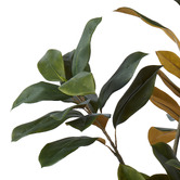 The Home Collective 122cm Potted Faux Magnolia Tree