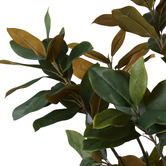 The Home Collective 183cm Potted Faux Magnolia Tree