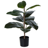 The Home Collective 62cm Potted Faux Rubber Tree