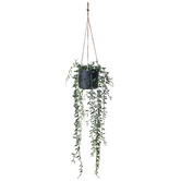 The Home Collective 107cm Potted Faux Hanging String of Bananas