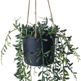 The Home Collective 107cm Potted Faux Hanging String of Bananas