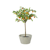 The Home Collective Arkian Planter Pot